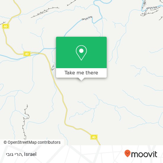 הרי גובי map