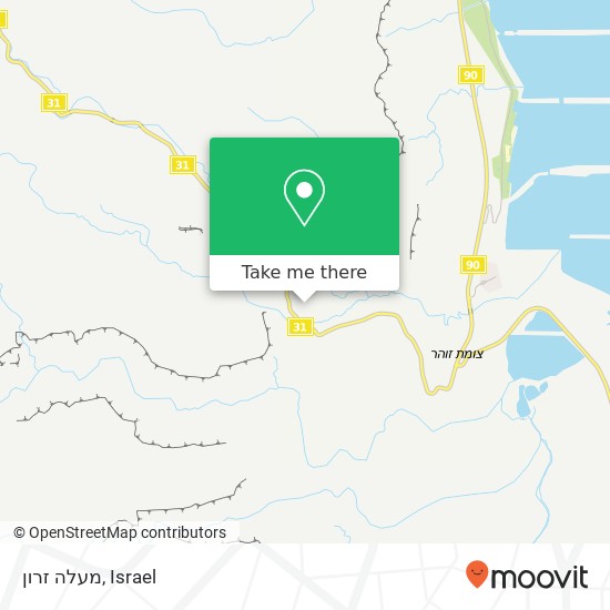 מעלה זרון map