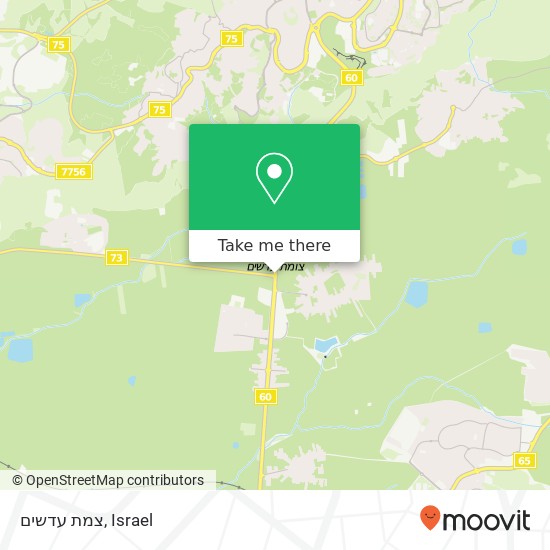 צמת עדשים map