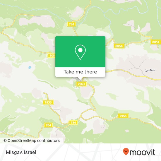 Misgav map