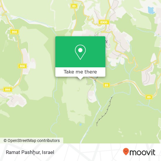 Ramat Pashẖur map