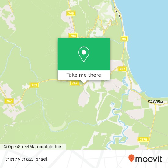 צמת אלמות map