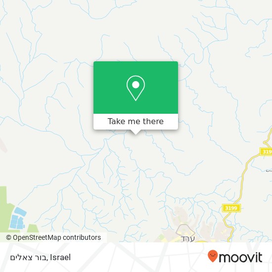 בור צאלים map