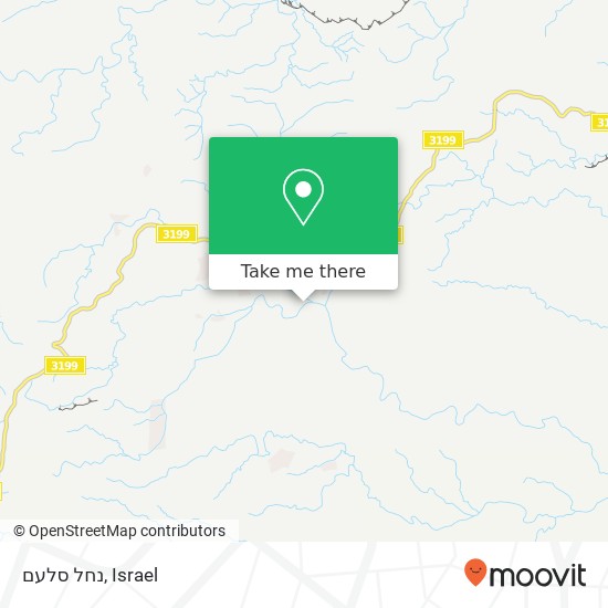 נחל סלעם map