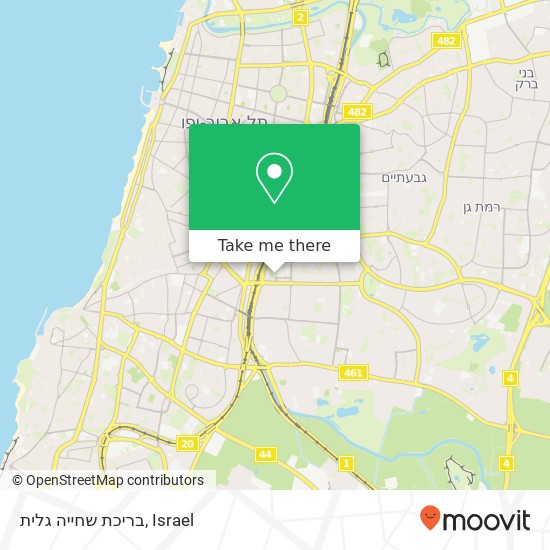 בריכת שחייה גלית map