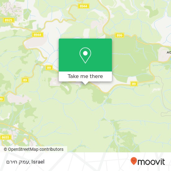 עמק חירם map