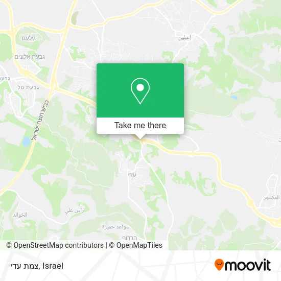 Карта צמת עדי
