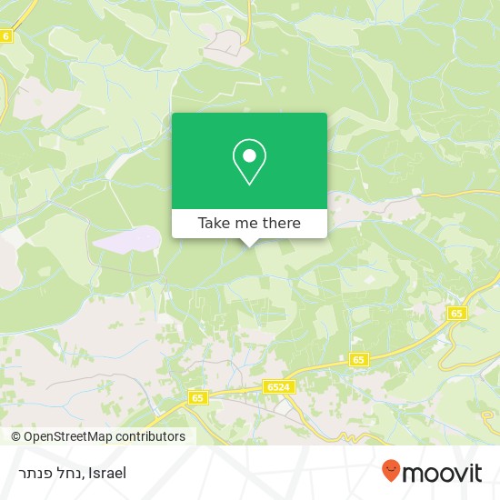 נחל פנתר map