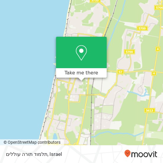 תלמוד תורה עוללים map