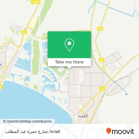 شارع حمزة عبد المطلب map