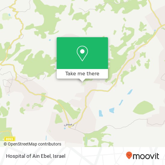 Карта Hospital of Ain Ebel