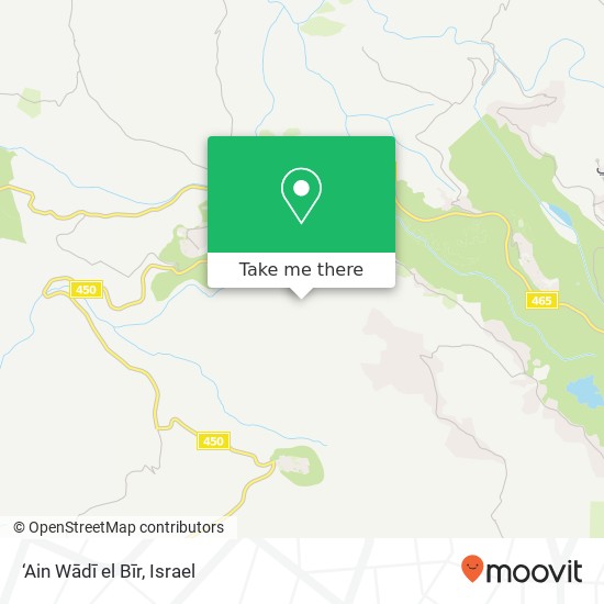 ‘Ain Wādī el Bīr map
