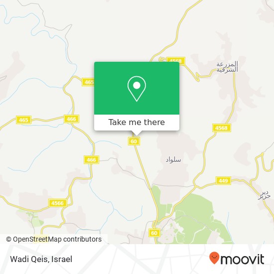 Wadi Qeis map