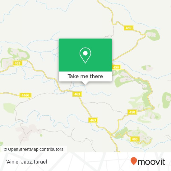 Карта ‘Ain el Jauz