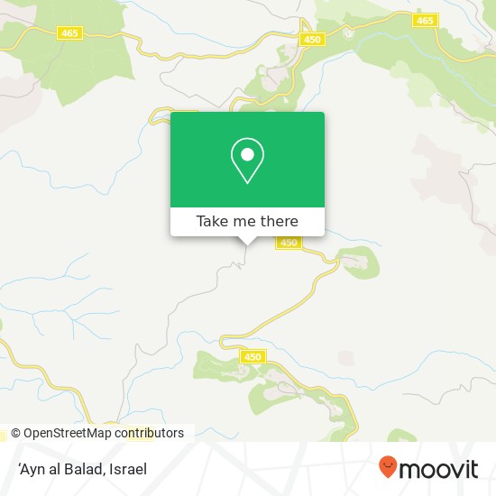 ‘Ayn al Balad map