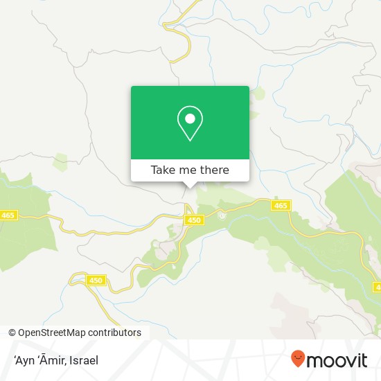 ‘Ayn ‘Āmir map