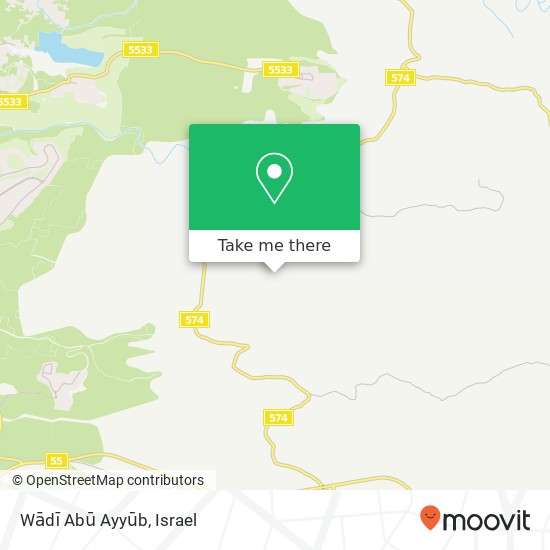 Карта Wādī Abū Ayyūb