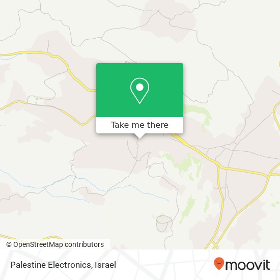 Palestine Electronics map