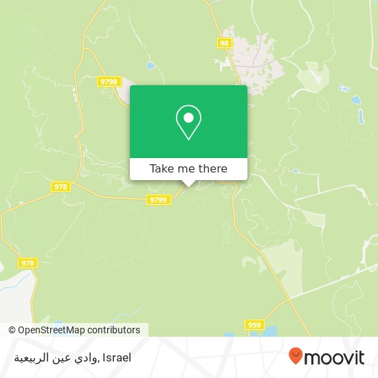 وادي عين الربيعية map