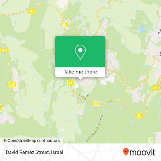David Remez Street map