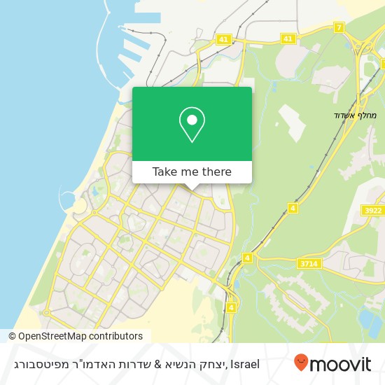 יצחק הנשיא & שדרות האדמו"ר מפיטסבורג map