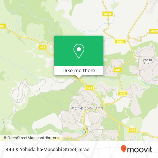 443 & Yehuda ha-Maccabi Street map