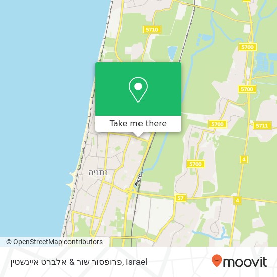 פרופסור שור & אלברט איינשטין map