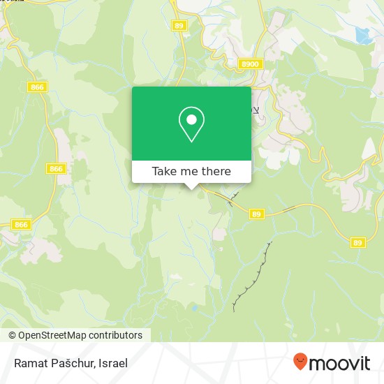 Ramat Pašchur map