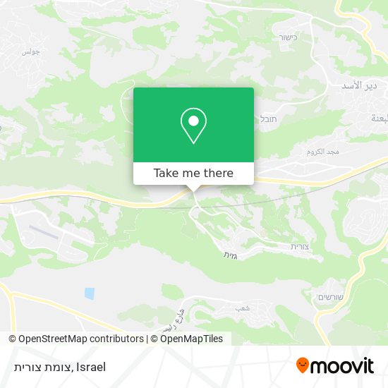 צומת צורית map