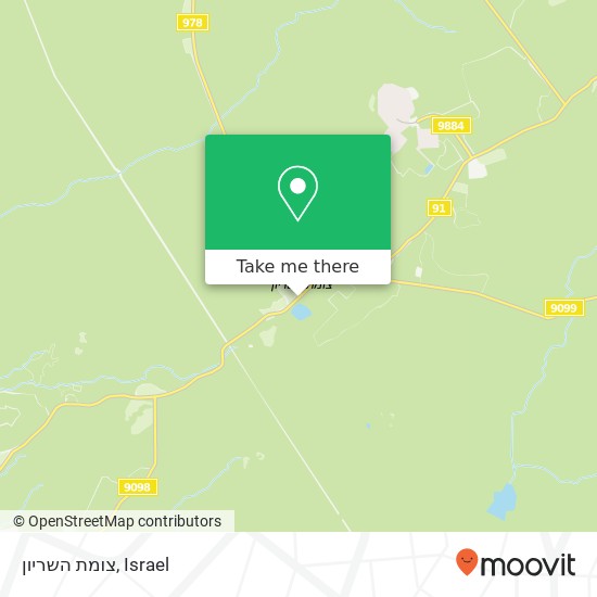 צומת השריון map