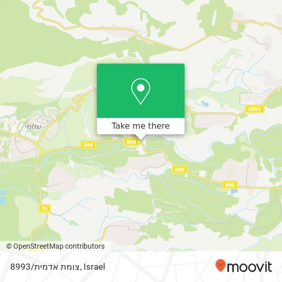 צומת אדמית/8993 map