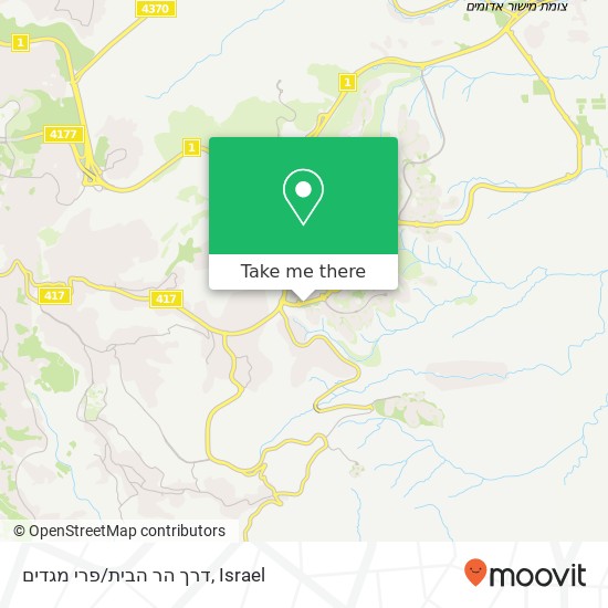 דרך הר הבית/פרי מגדים map