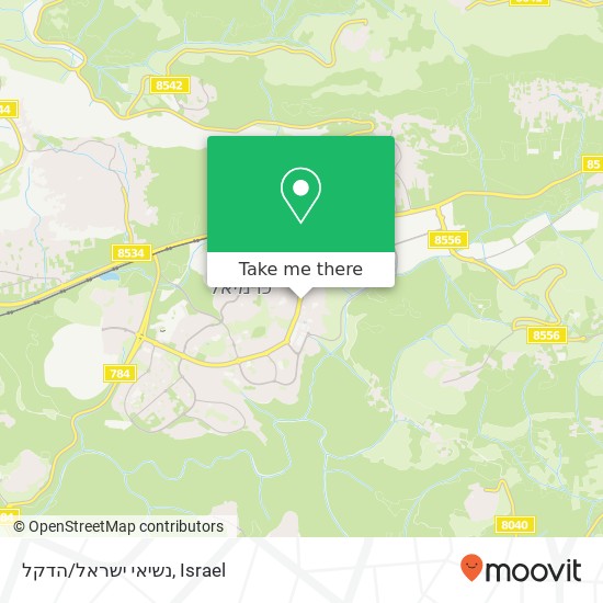 נשיאי ישראל/הדקל map