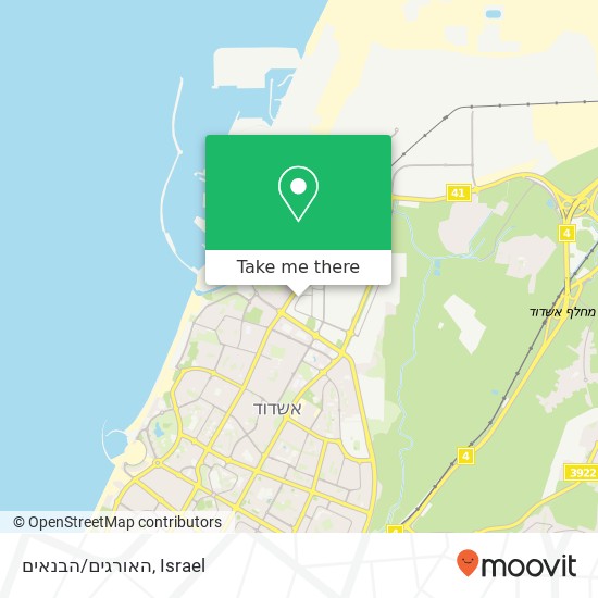 האורגים/הבנאים map