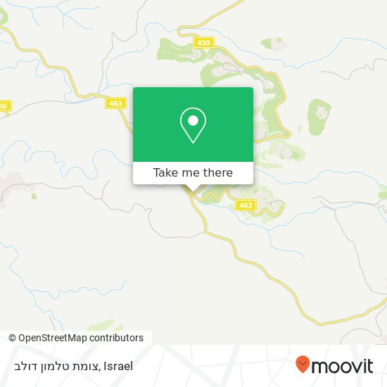 צומת טלמון דולב map