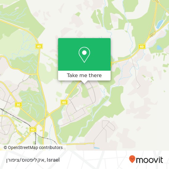 אקליפטוס/ציפורן map