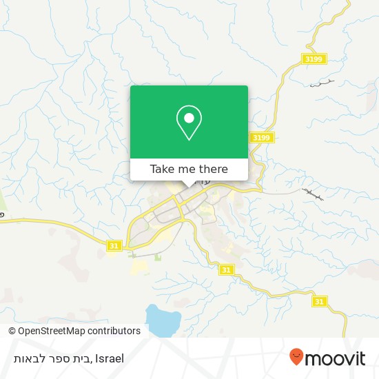 בית ספר לבאות map