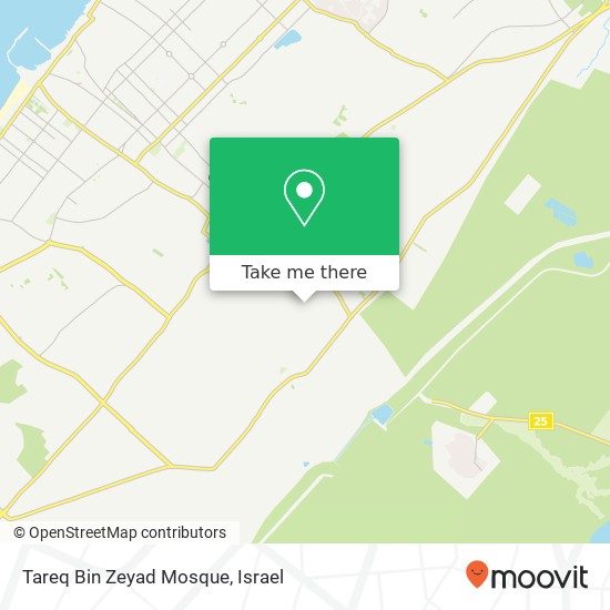 Tareq Bin Zeyad Mosque map