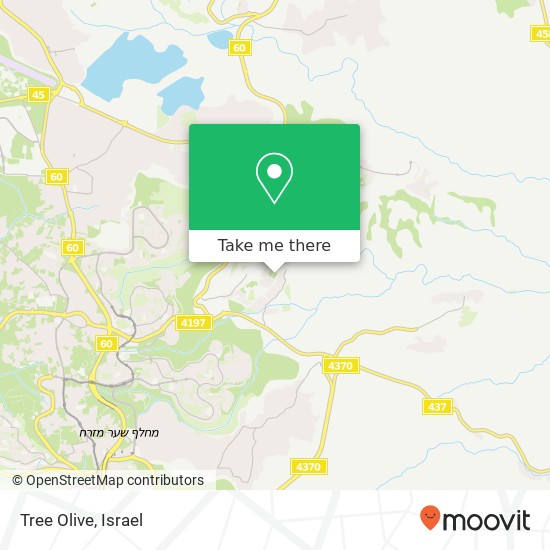 Tree Olive map