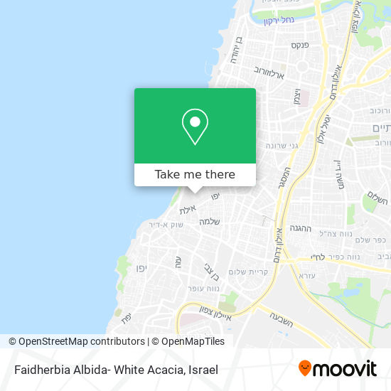 Карта Faidherbia Albida- White Acacia
