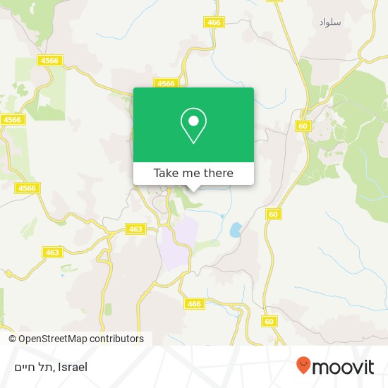 תל חיים map