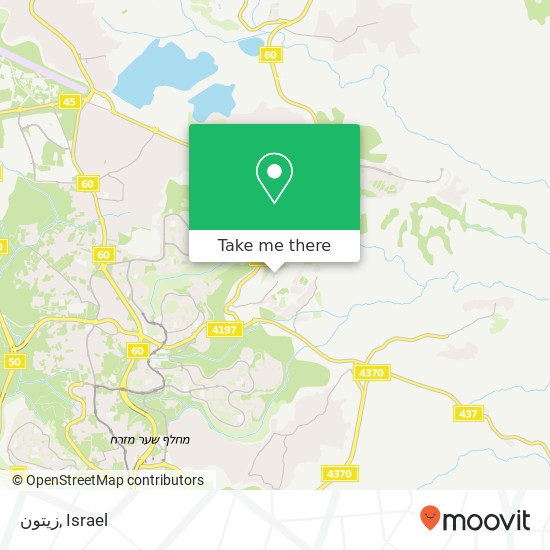 زيتون map