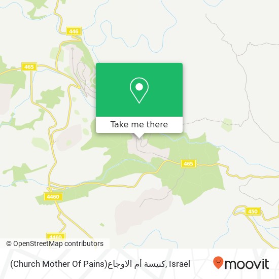 (Church Mother Of Pains)كنيسة أم الاوجاع map