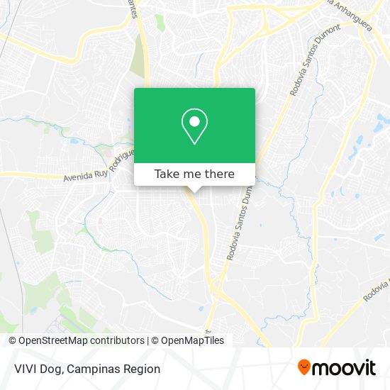 VIVI Dog map