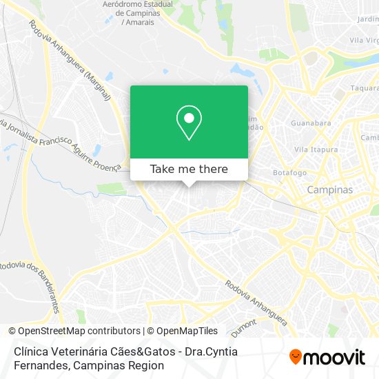 Clínica Veterinária Cães&Gatos - Dra.Cyntia Fernandes map