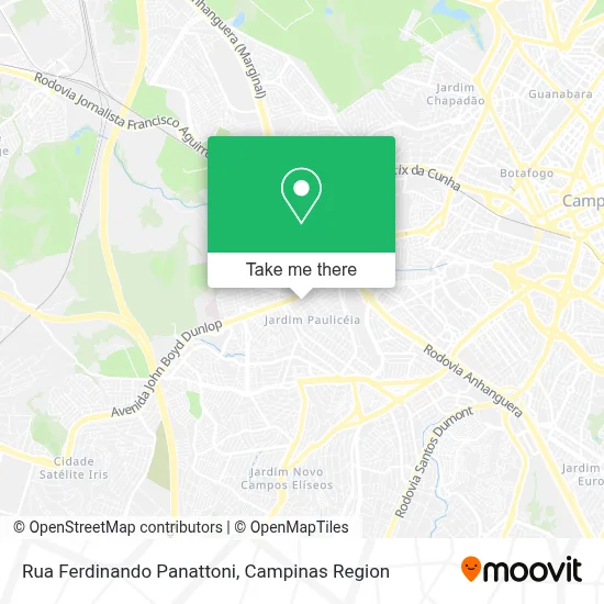 Rua Ferdinando Panattoni map