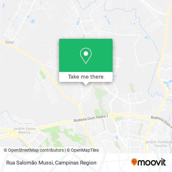 Rua Salomão Mussi map
