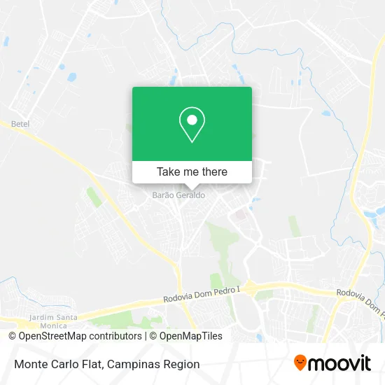 Monte Carlo Flat map