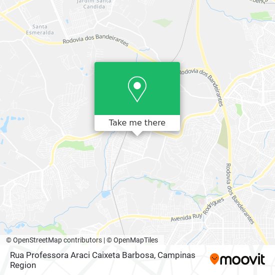 Rua Professora Araci Caixeta Barbosa map