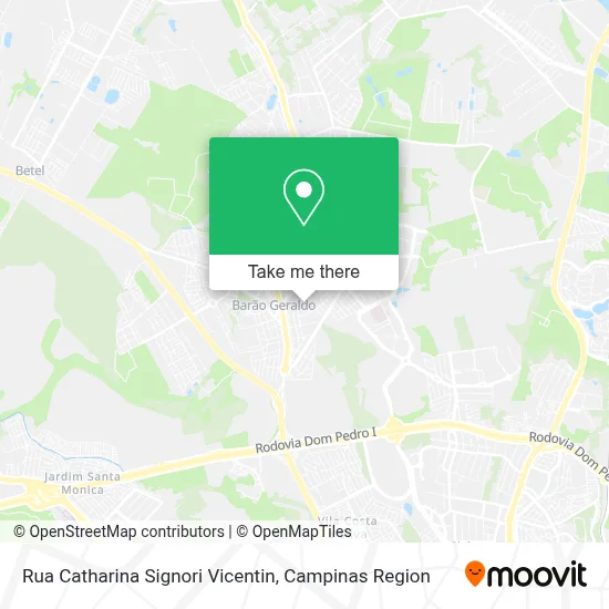 Rua Catharina Signori Vicentin map